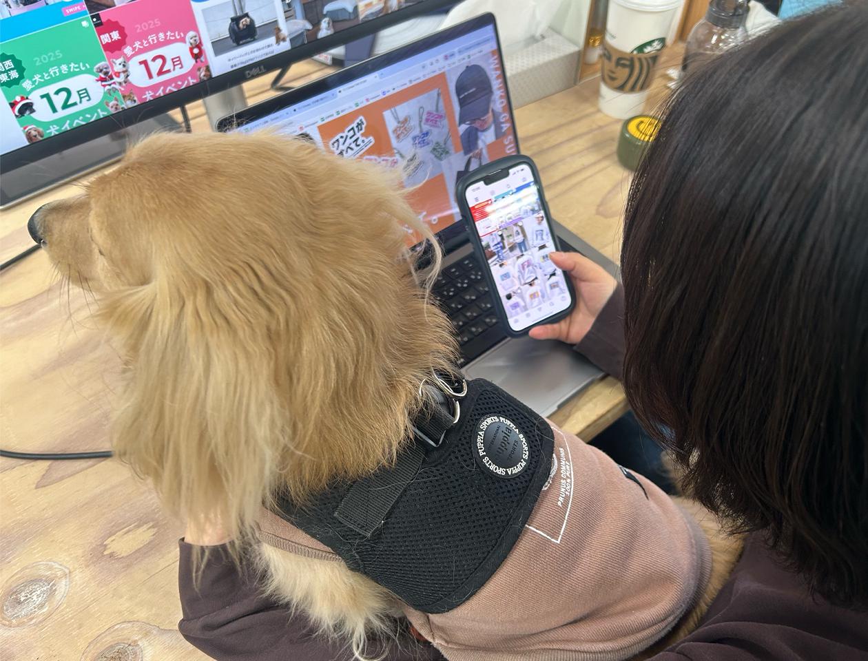 株式会社 エヴォワークスのイメージ画像3