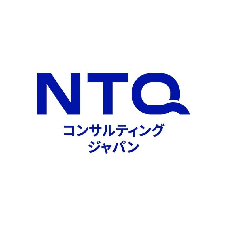 事業内容：海外人材を活用した高品質ITシステムコンサルタント