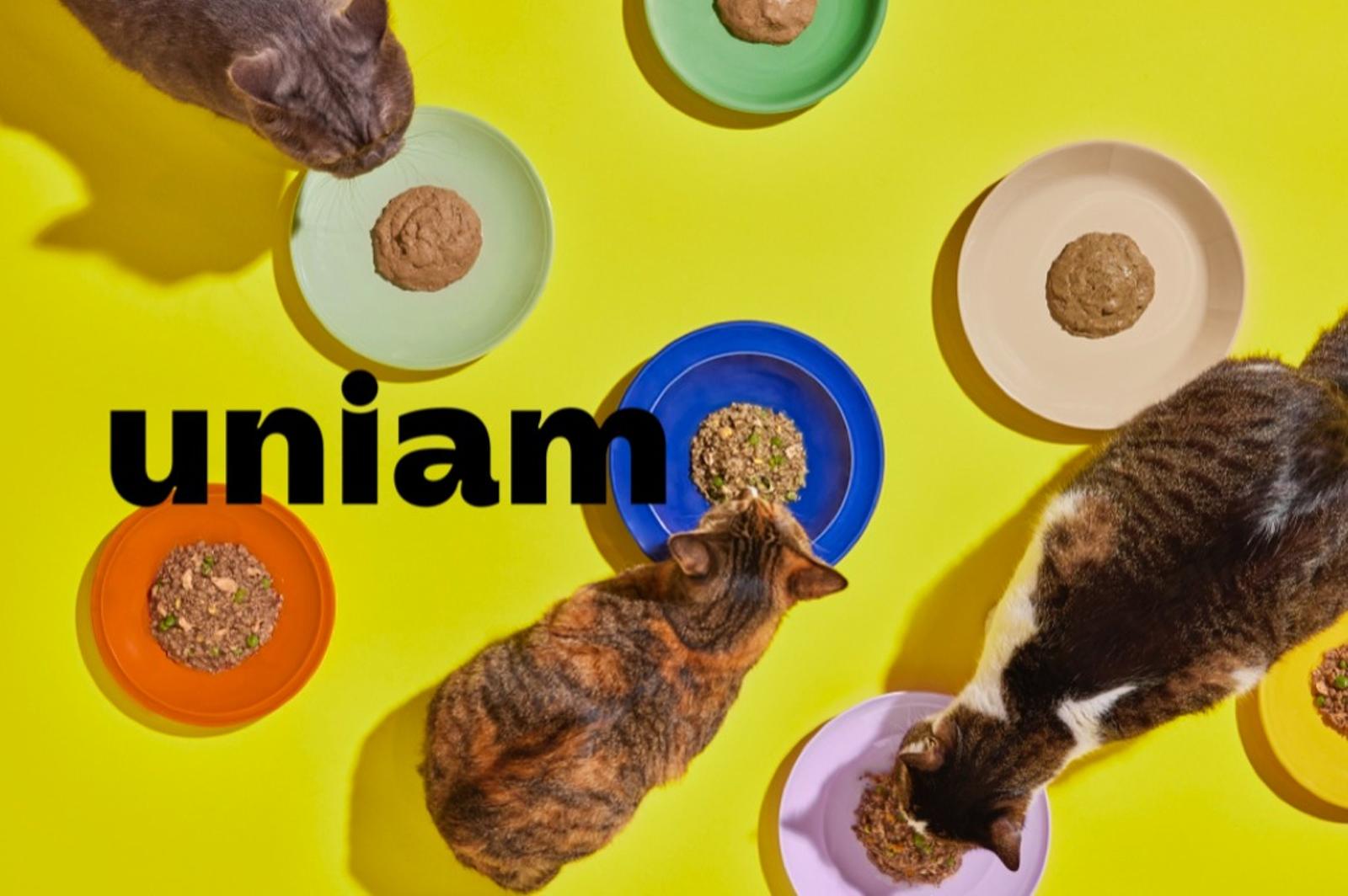 株式会社 uniamのイメージ画像1