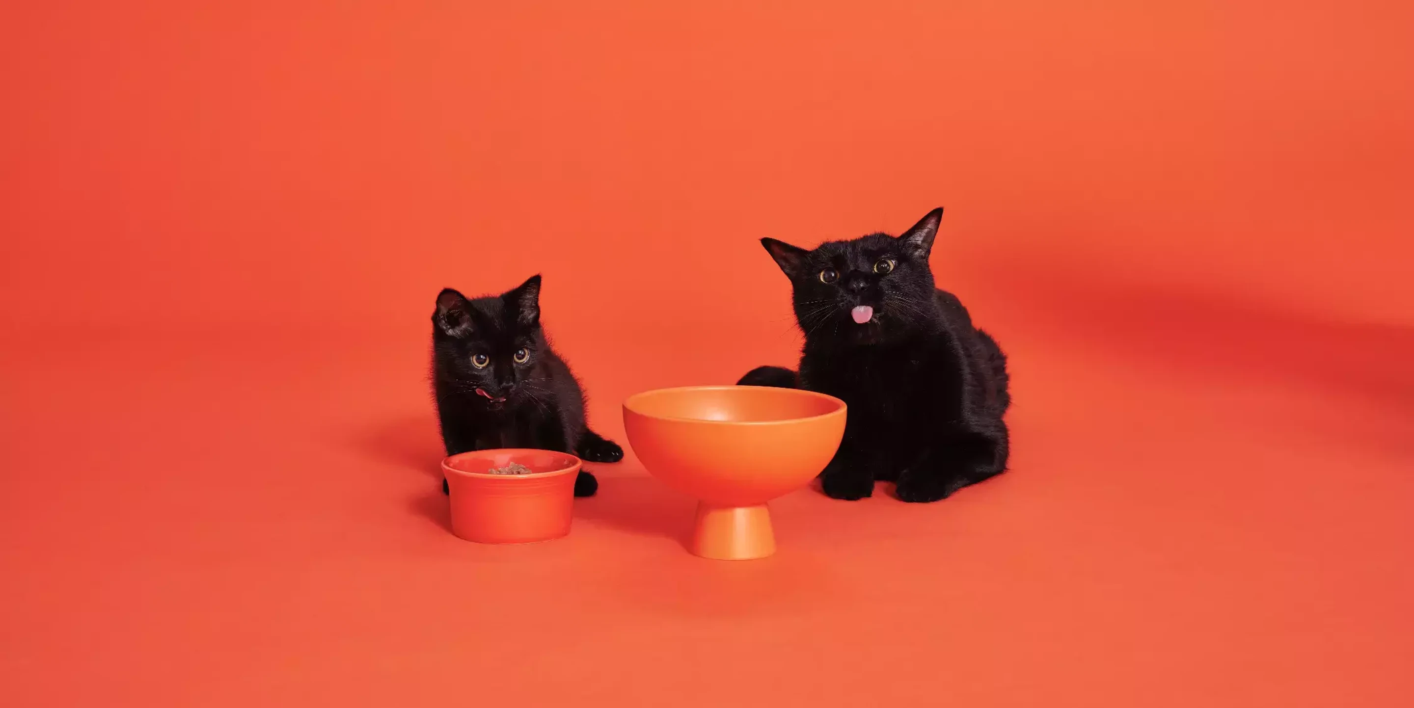 株式会社 uniamのイメージ画像3