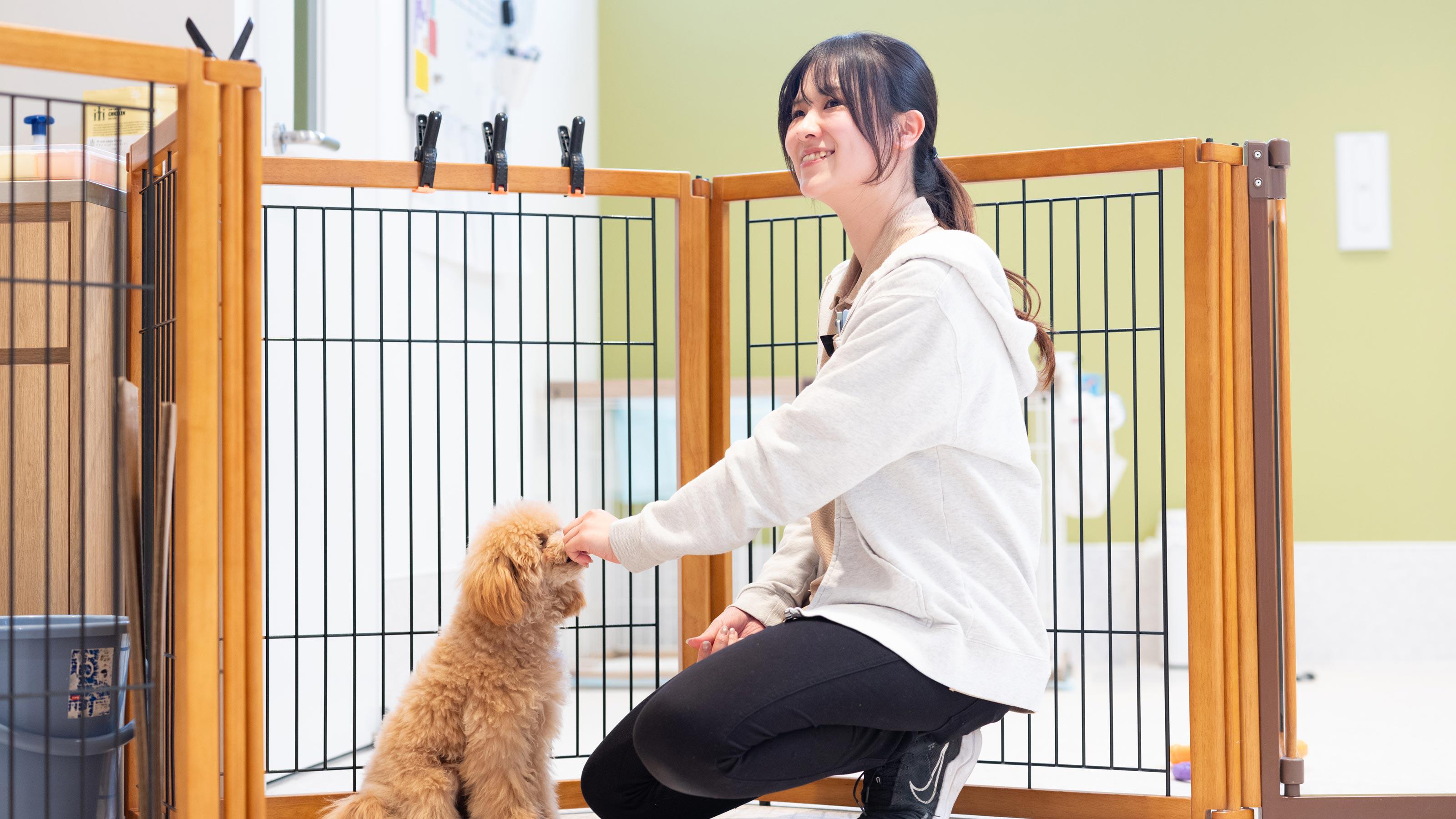 企業トップ画像