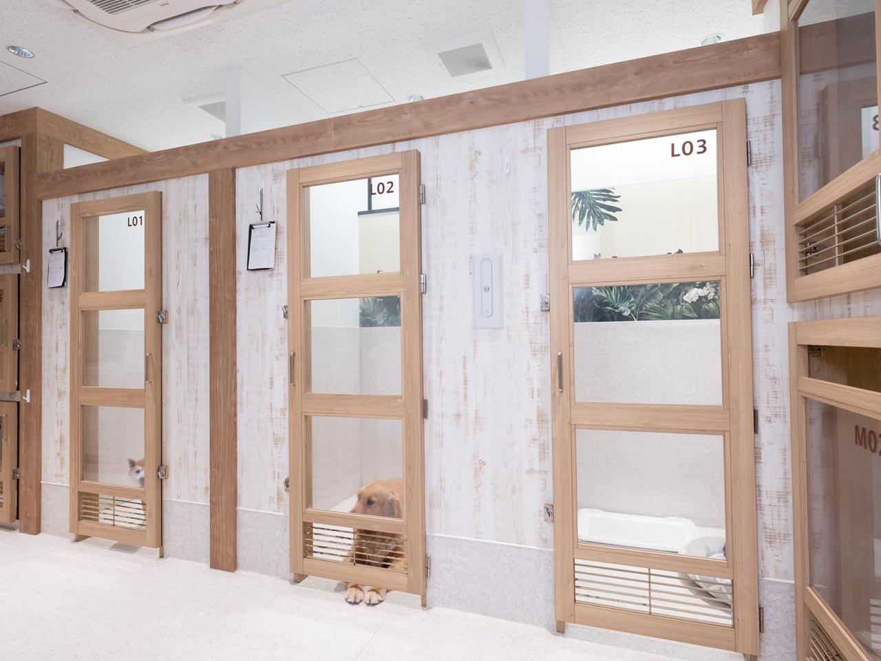 ペット業界未経験者でも構いません。新しいことにチャレンジしたい方はぜひご参画ください。