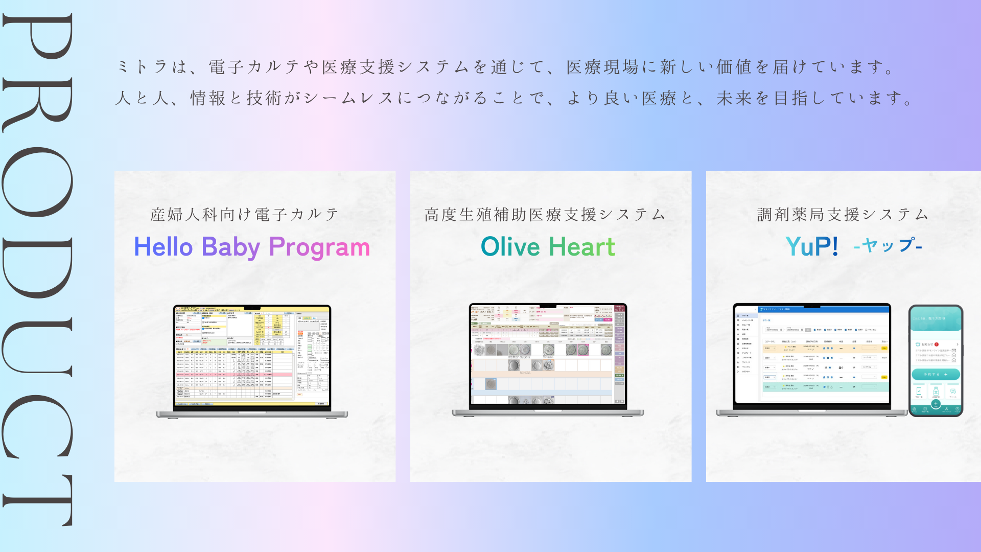 事業内容：産婦人科向け電子カルテ「Hello Baby Program」
