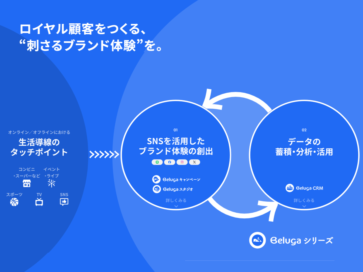 事業内容：SNSマーケティングサービス「Belugaシリーズ」