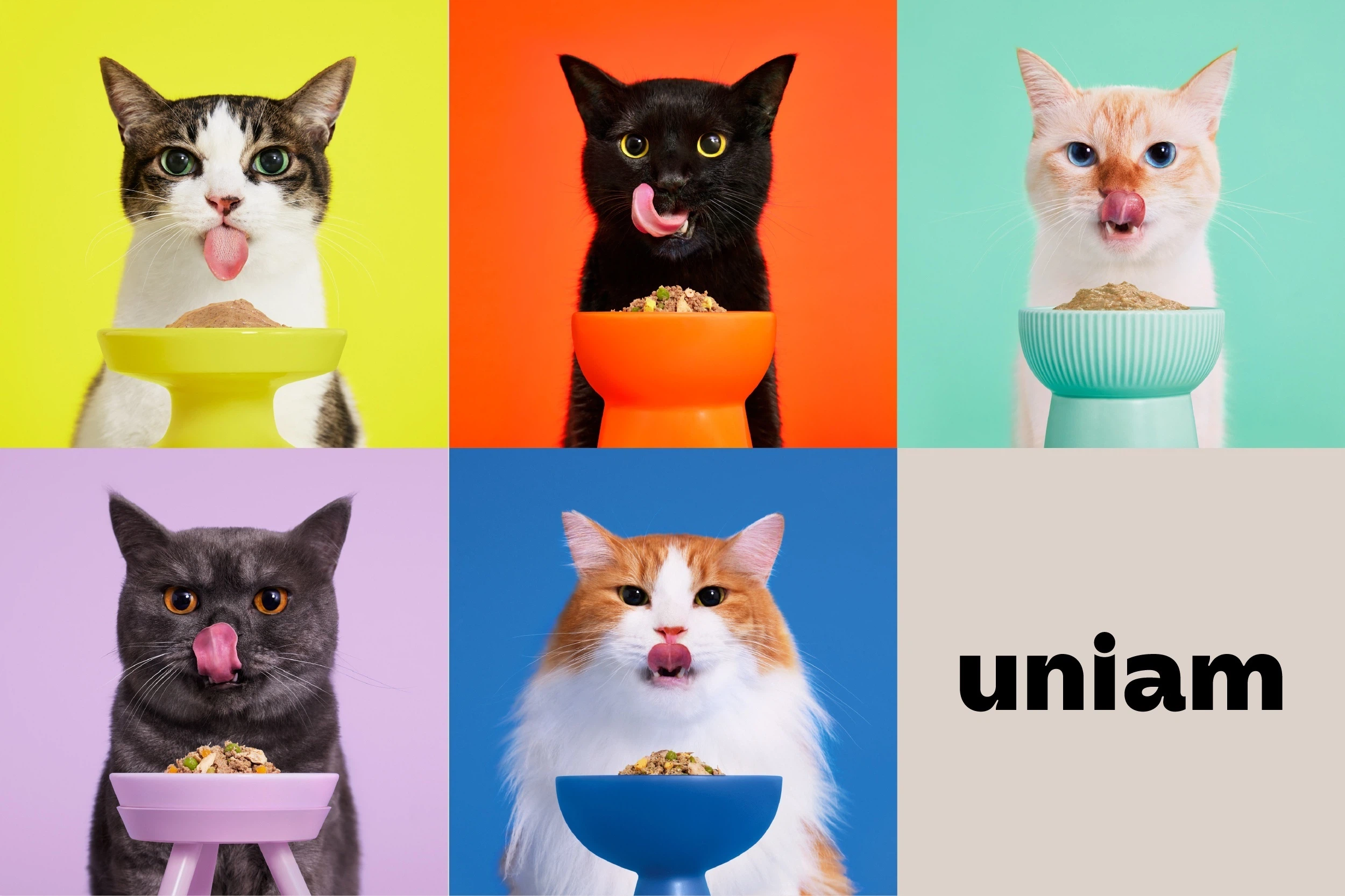 獣医師発のブランドだからこそ、事業の起点が違う。
uniamは、単なるフードブランドではありません。獣医師の専門知見を土台に、食事、研究、医療連携までつなげながら、ねこの一生を支える新しいヘルスケアの形を構想しています。