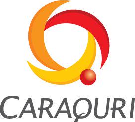 事業内容：国内最大級ユーザー規模のアプリ・システム開発事業（AI駆動型DX推進）