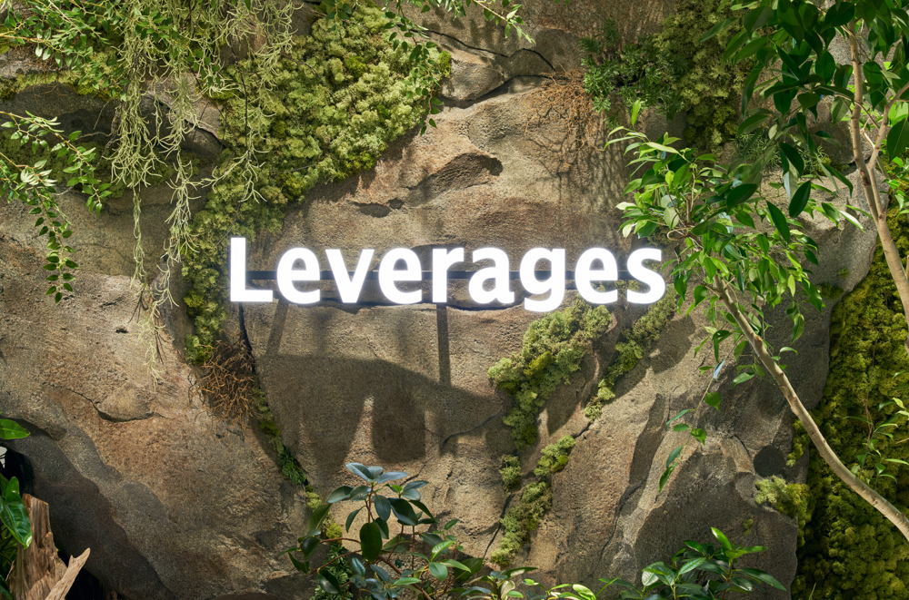 事業内容：レバレジーズの経営の意思決定を支える「攻めの財務戦略」