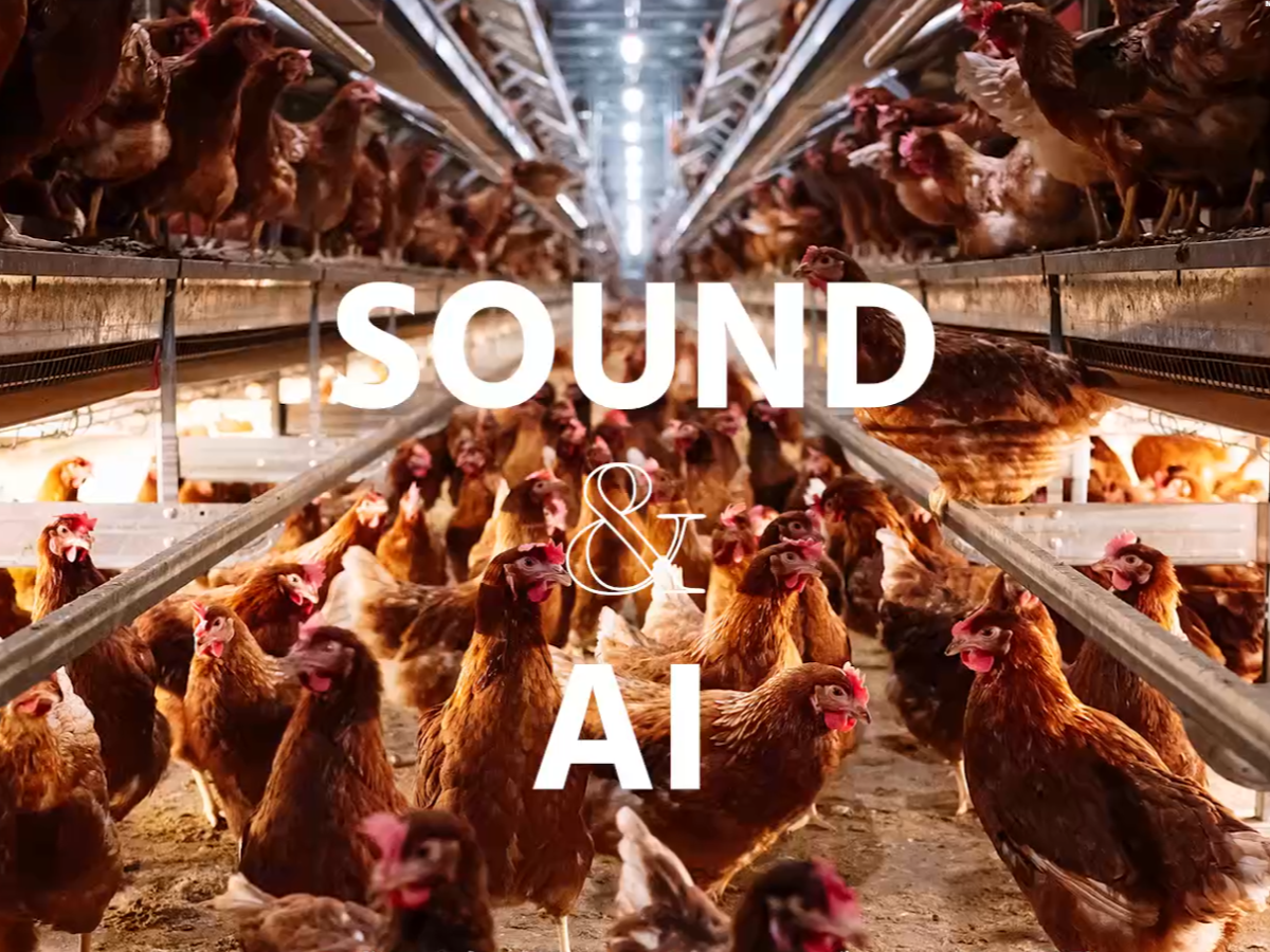 事業内容：音声AI技術活用ソリューション事業