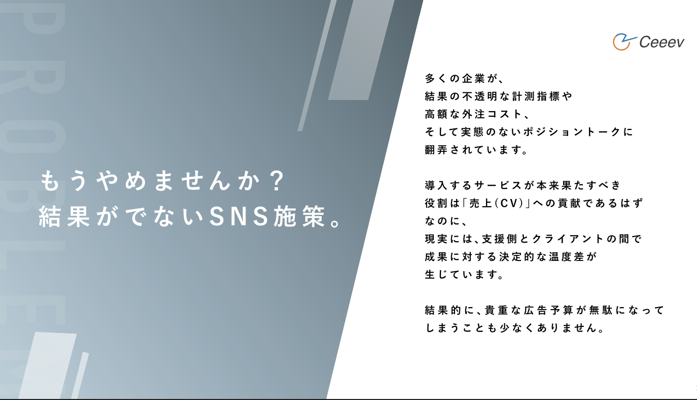 事業内容：SNSソリューション事業