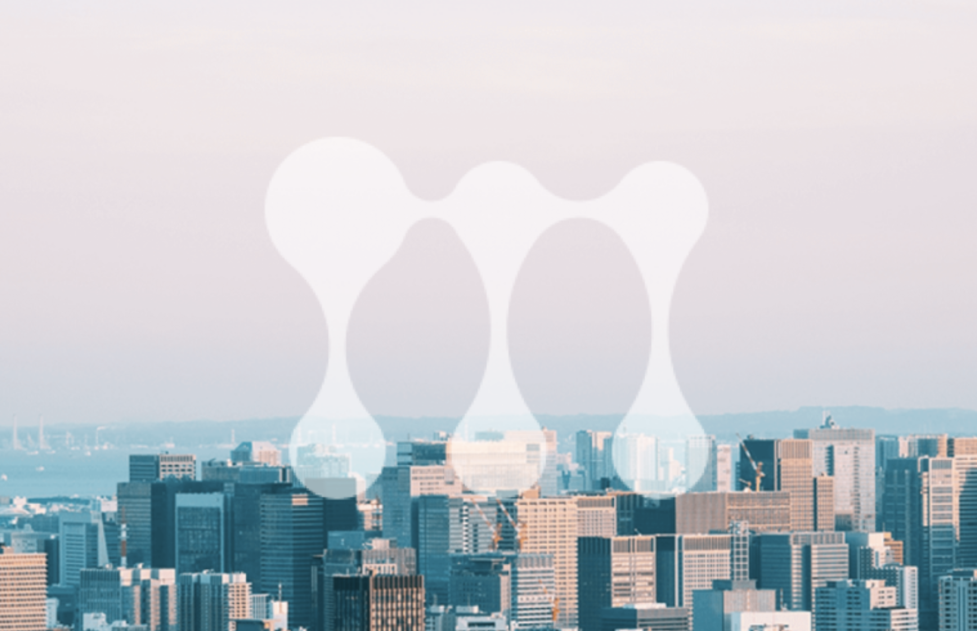 この企業と同じ業界の企業：株式会社 mign