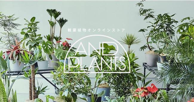 アンドプランツ（AND PLANTS）