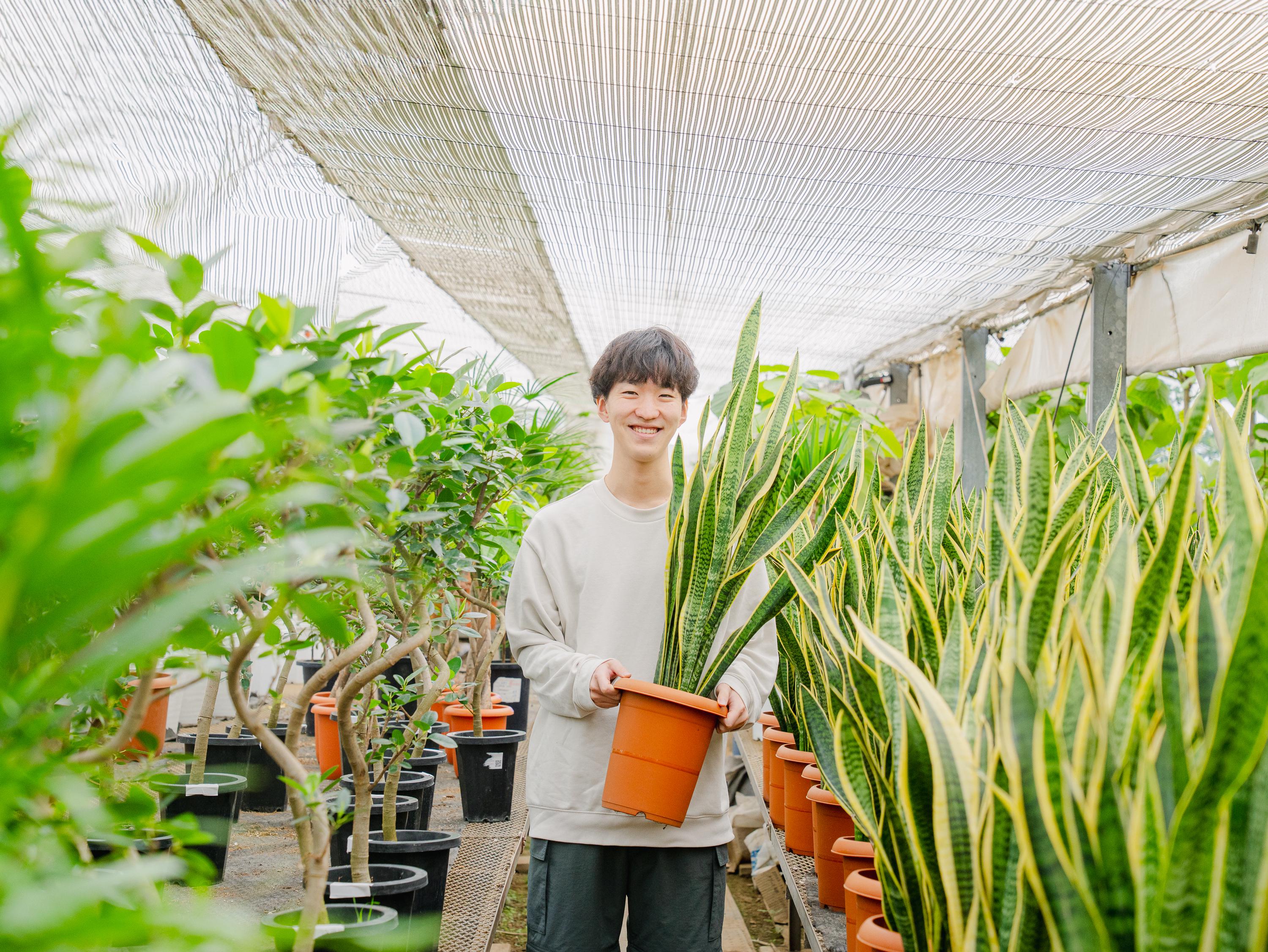 事業内容：イネーブラー事業（観葉植物・花）