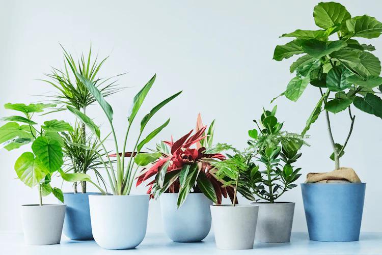 事業内容：事業横断