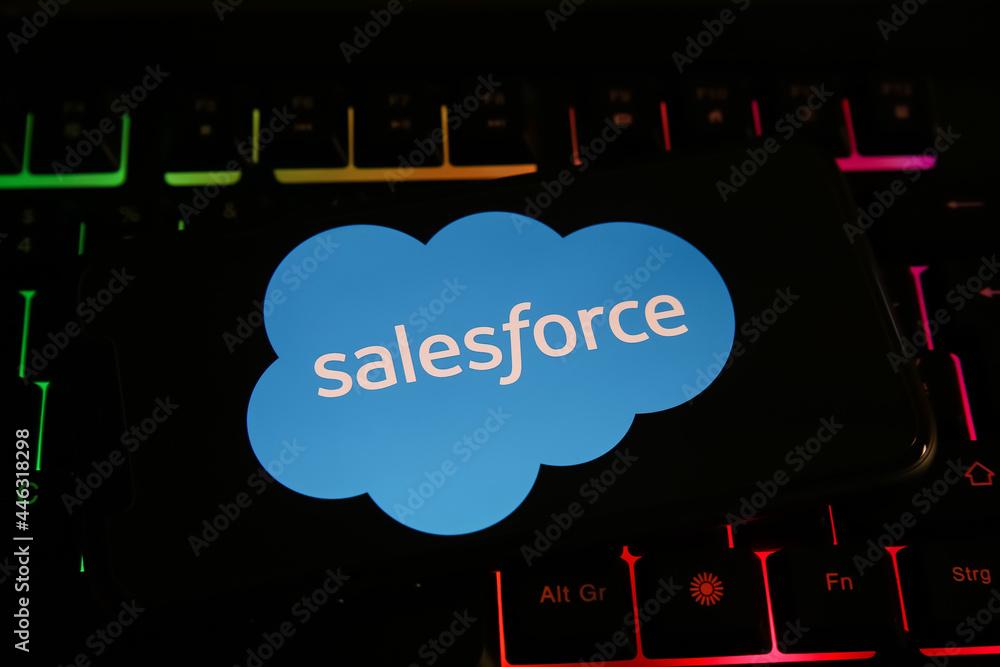 事業内容：Salesforce導入エキスパートサービス