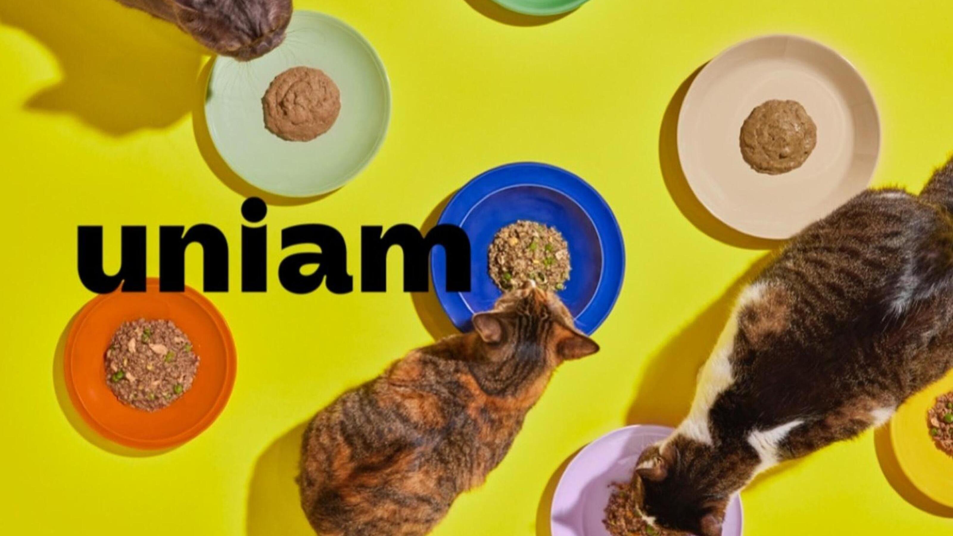 企業トップ画像