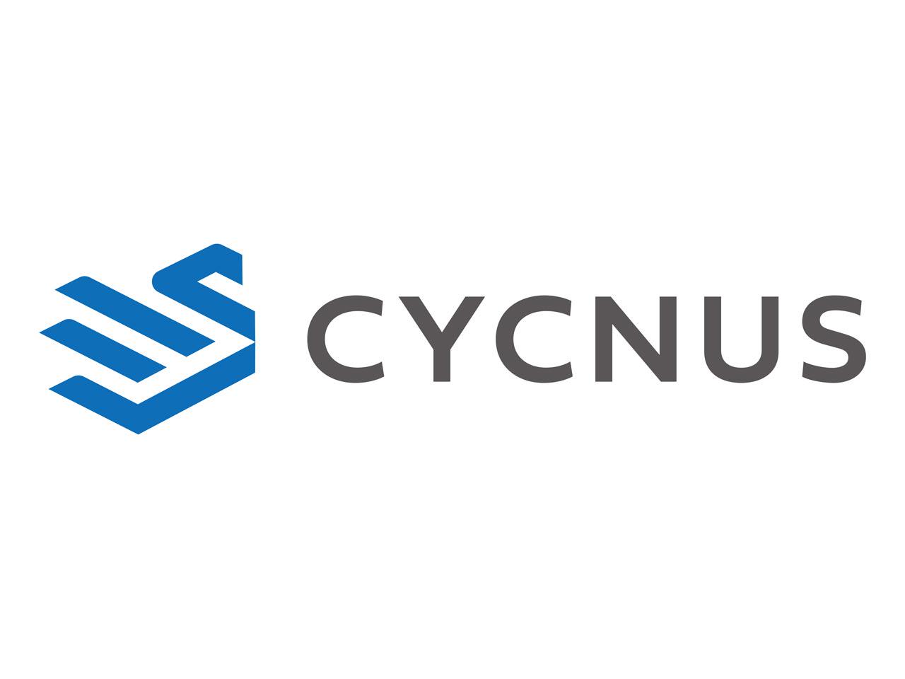 同社は、システム開発およびITコンサルティングを軸に、企業の課題解決を支援するITソリューション企業。