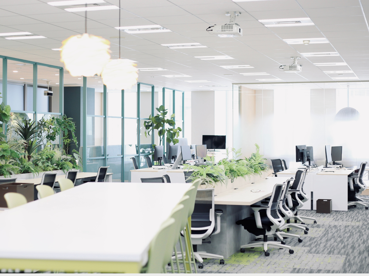 独自のマーケティング手法を保有し、成功事例は100以上、創業5年で売上高30億円を達成したが、2023年には流通総額500億円突破を目指す。