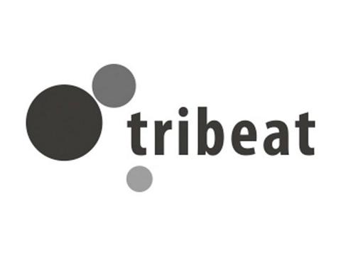 株式会社 トライビートの採用 求人 転職サイトgreen グリーン