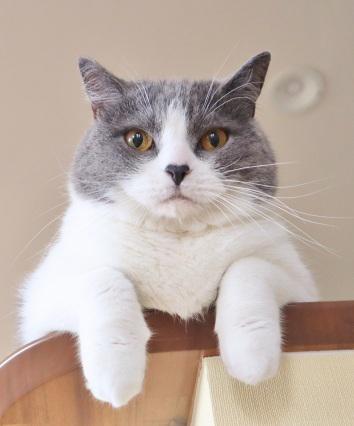 株式会社日本デジコムメインアイコン