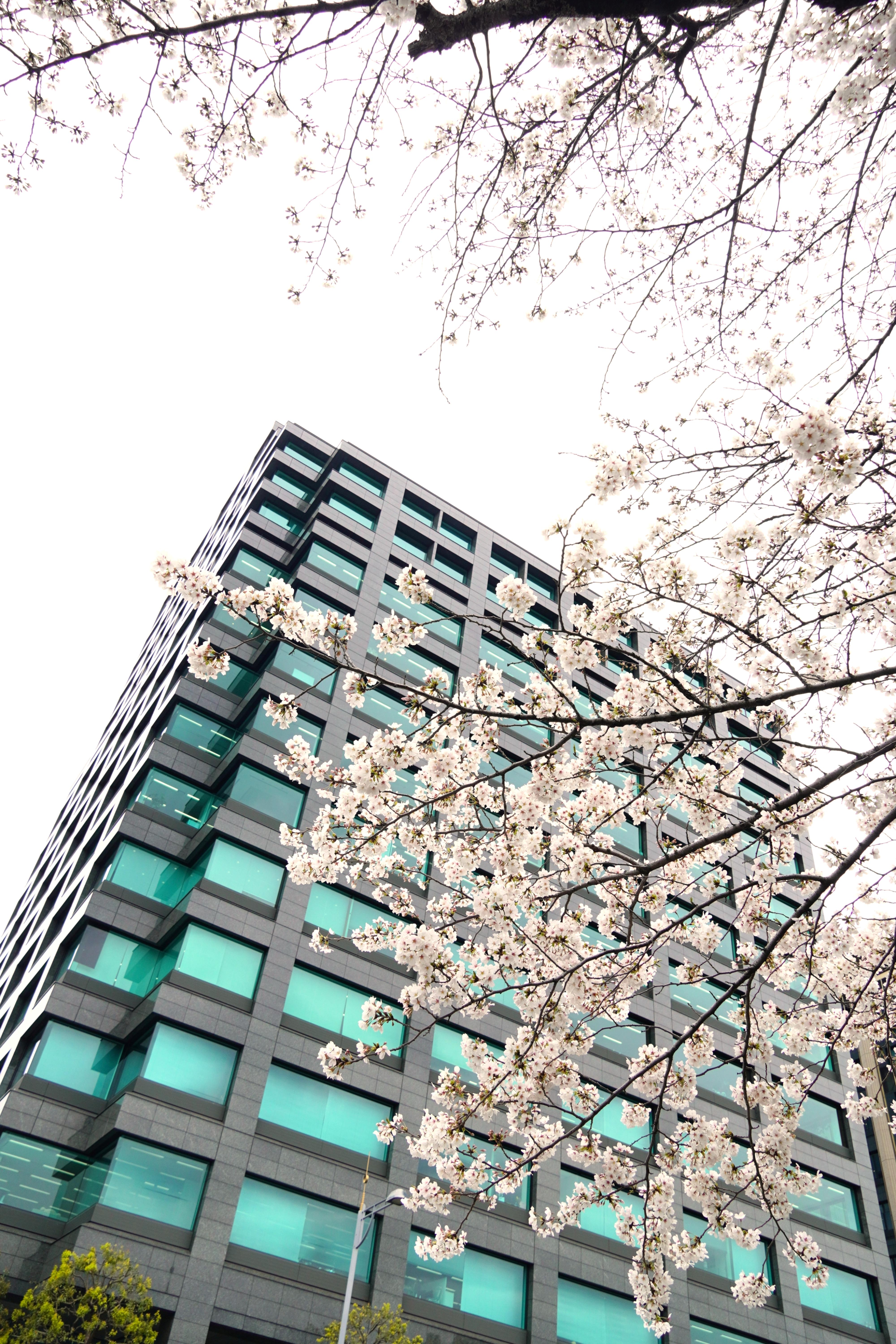 企業トップ画像