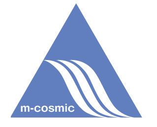 事業内容：金融業界特化システム開発サービス