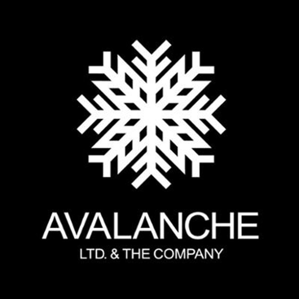 社名の「アバランチ（AVALANCHE）」には、“雪崩”という意味があります。

一人ひとりが自ら考え、行動し、その力が集まることで、大きな変化を生み出していく。
私たちは、そんな仲間とともに、新しい挑戦を続けていきたいと考えています。