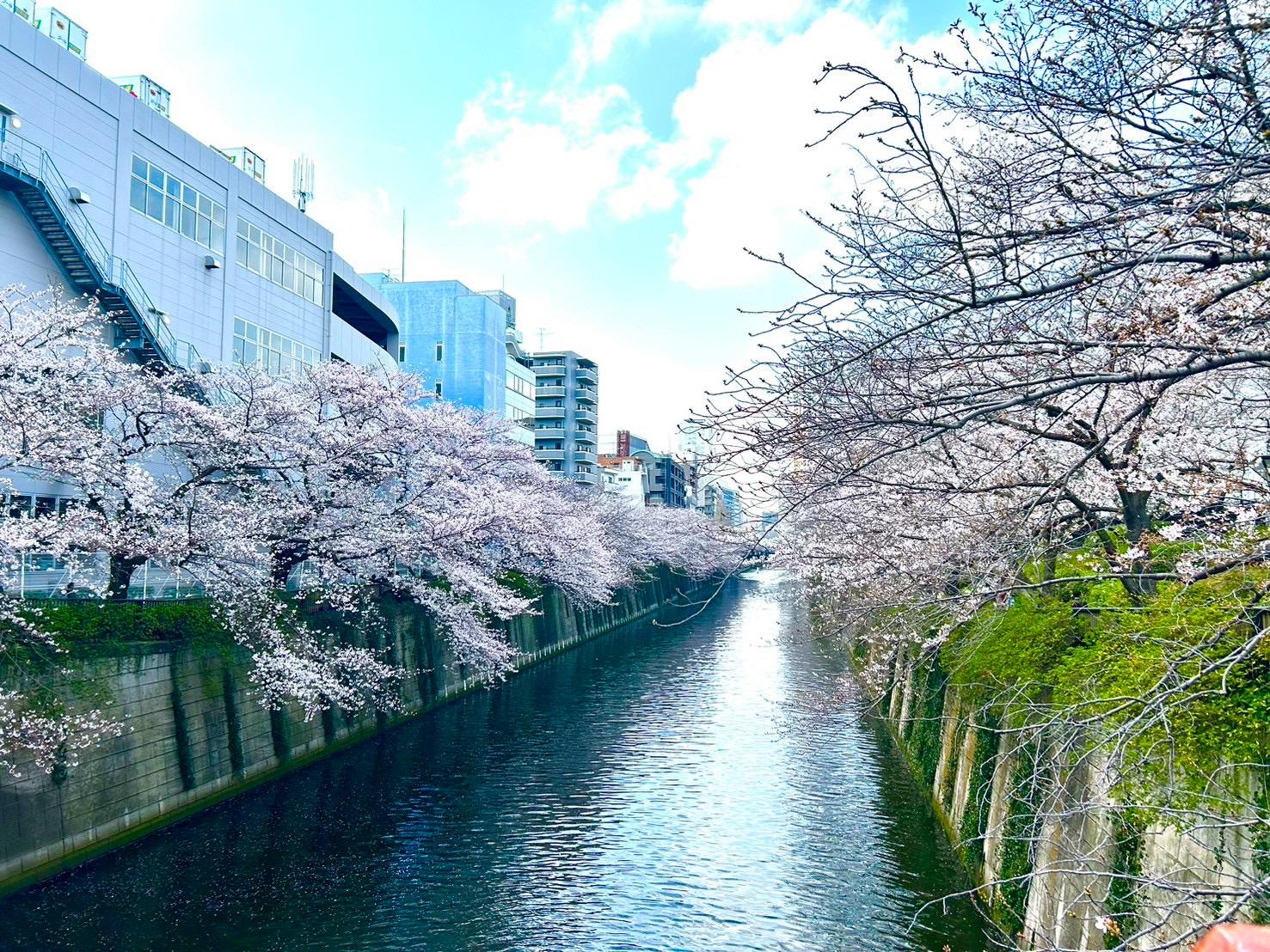 企業トップ画像