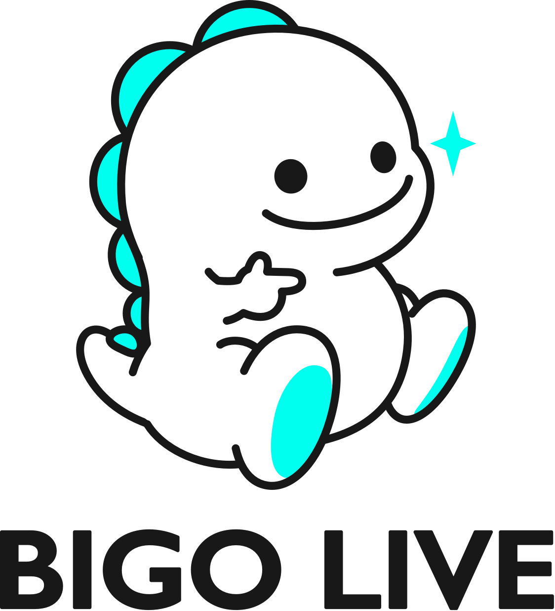 事業内容：ライブストリーミングプラットフォーム「BIGO LIVE」