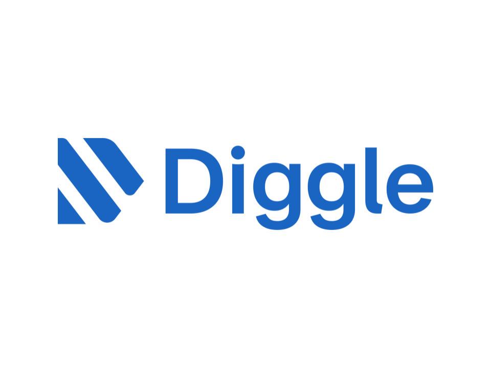 予実管理に特化したクラウドサービス『Diggle』
これまでエクセル等で行っていた煩雑な作業を効率化するサービスだ。