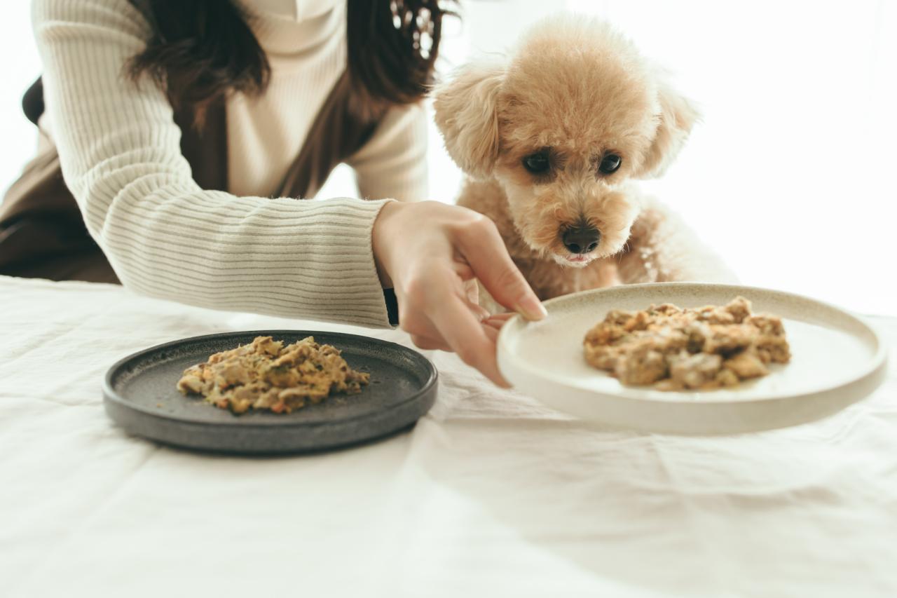 株式会社バイオフィリア 求人画像1