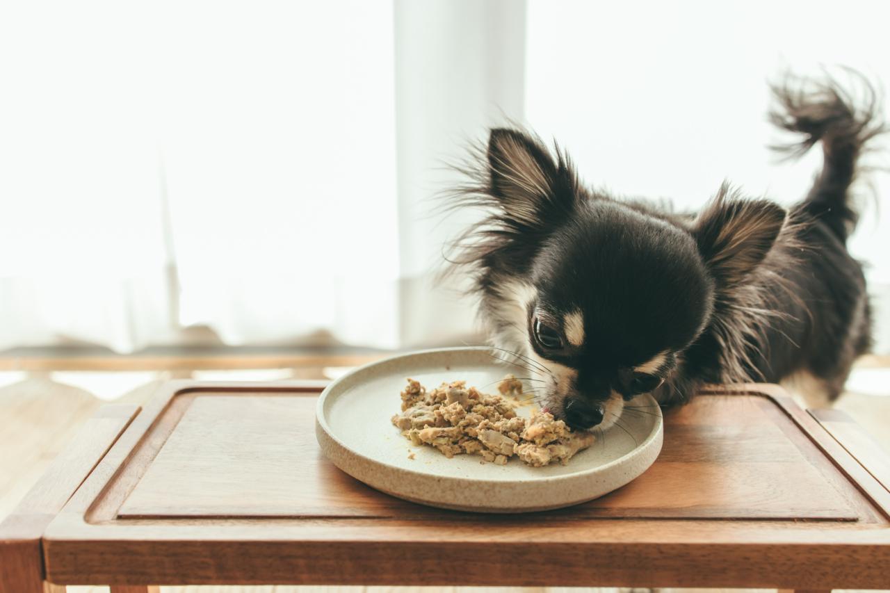 株式会社バイオフィリア 求人画像1