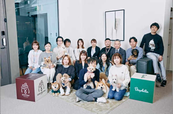 募集している求人：財務経理メンバー