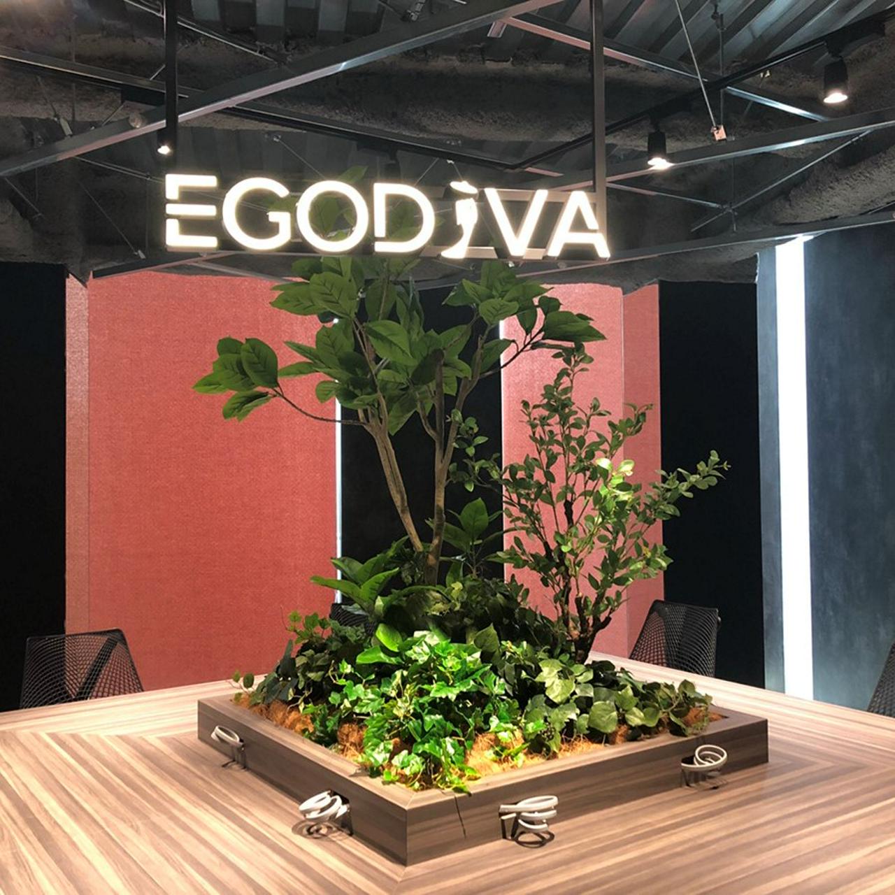 株式会社EgoDiva 求人画像1