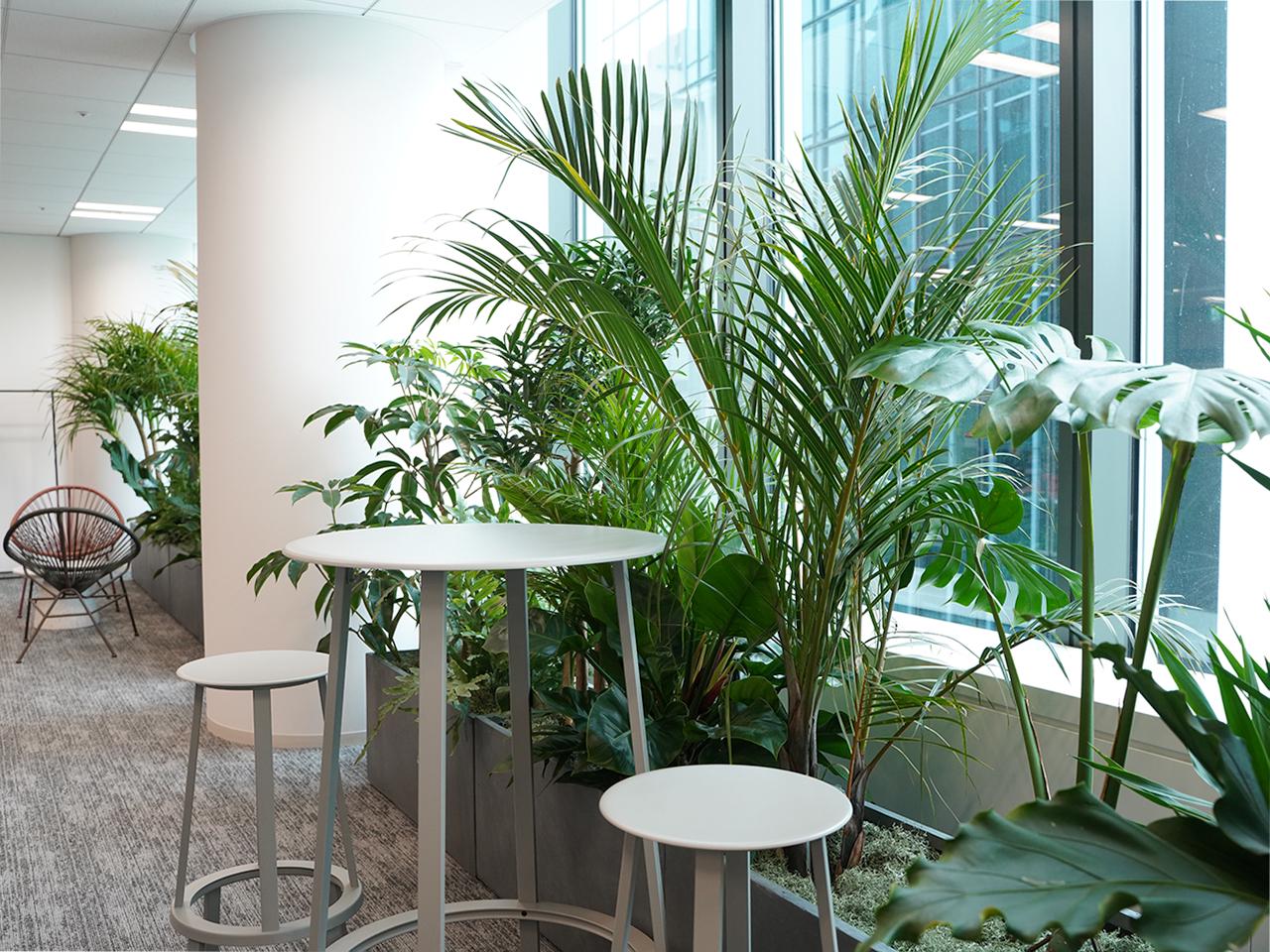 LAETOLI株式会社 求人画像1