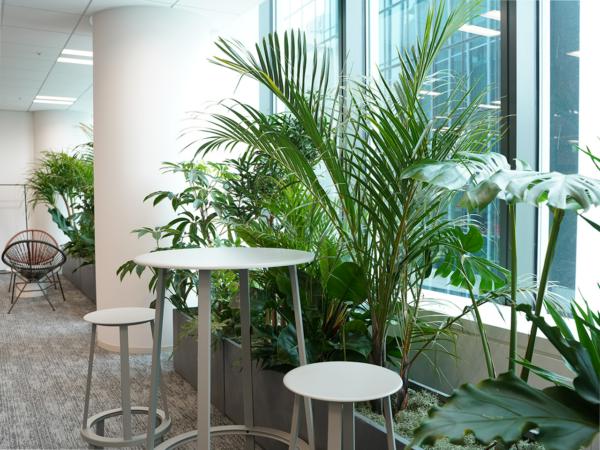 募集している求人：テックリード／CTO候補