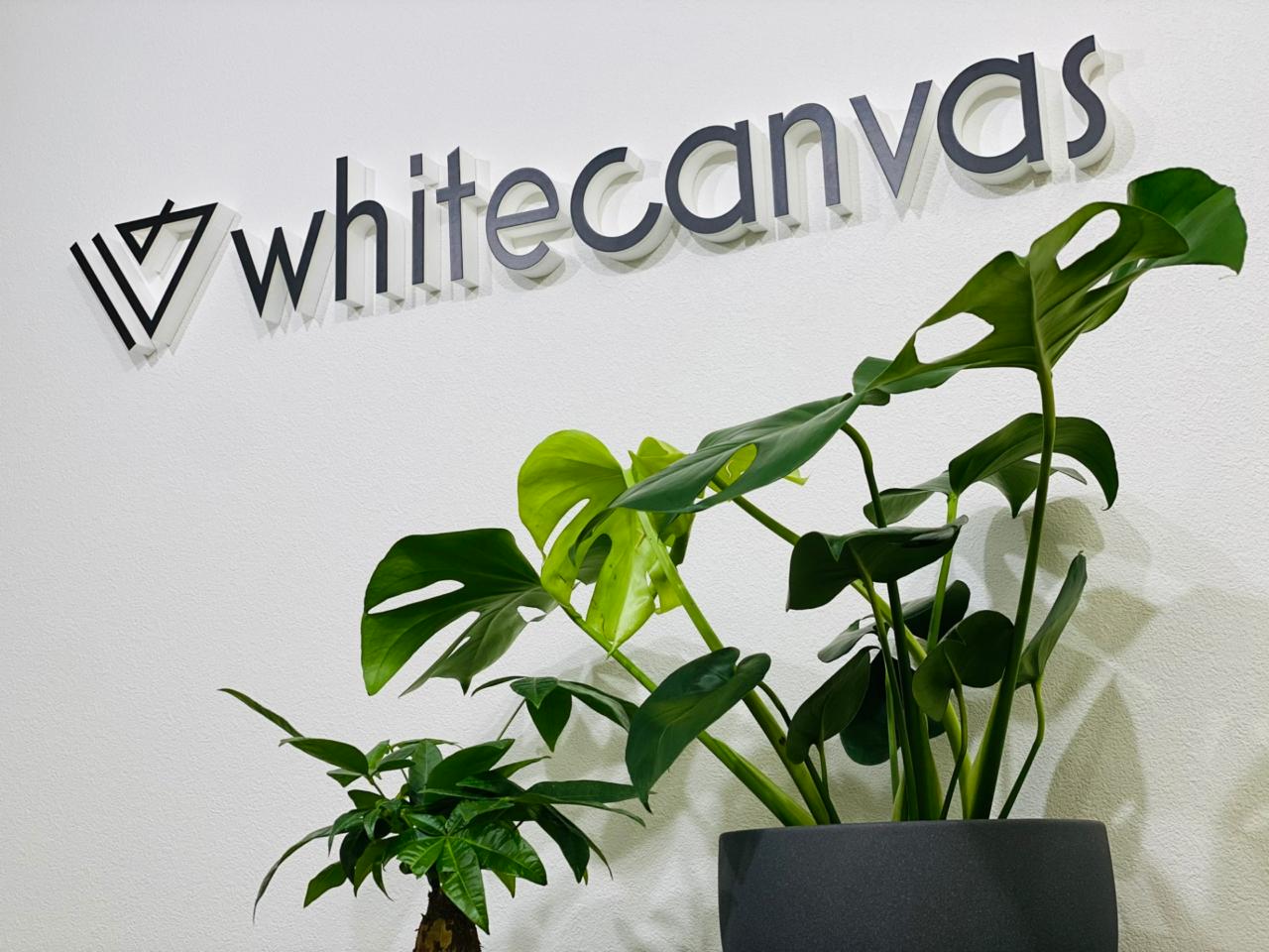 株式会社whitecanvas 求人画像1
