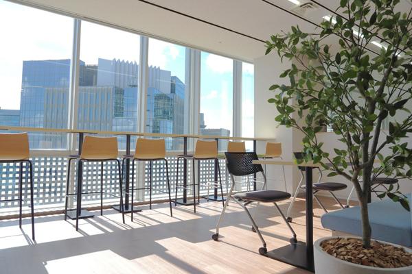 募集している求人：【自社SaaSツール】WEBアプリケーションエンジニア