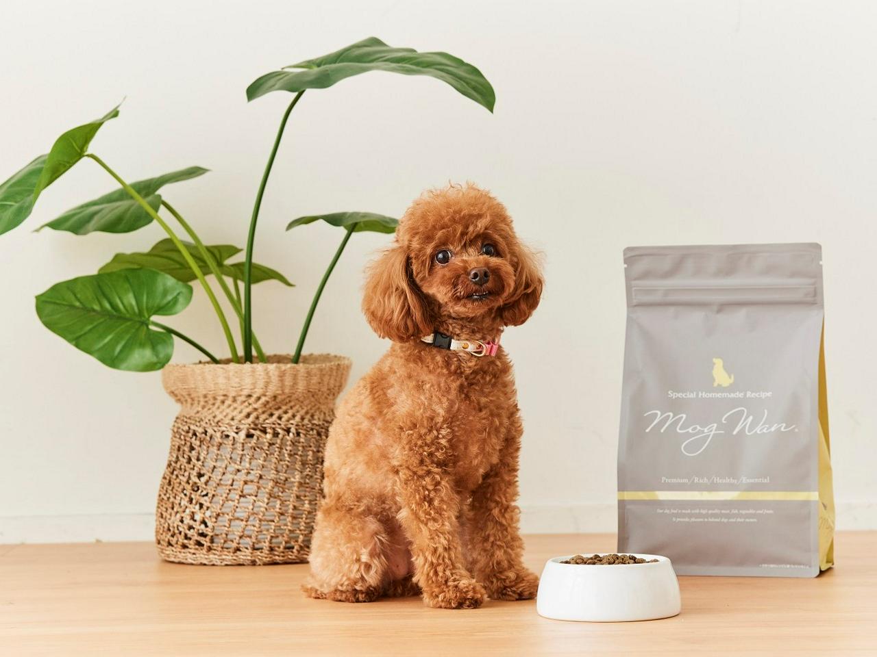 株式会社オーダーチーズ 求人画像1