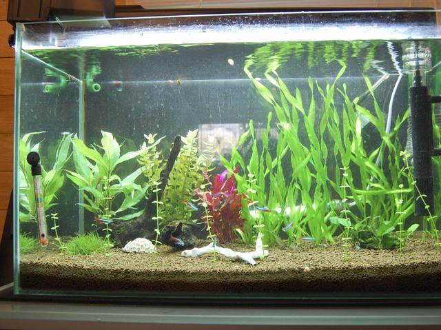 オフィス内にはアクアリウムなど設置し、リラックスして業務に取り組める雰囲気づくりをしています