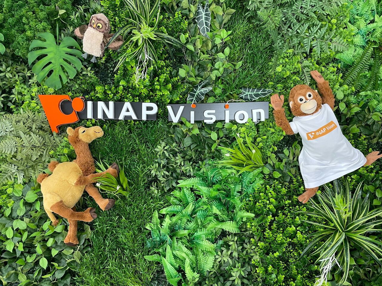 株式会社INAP Vision 求人画像1