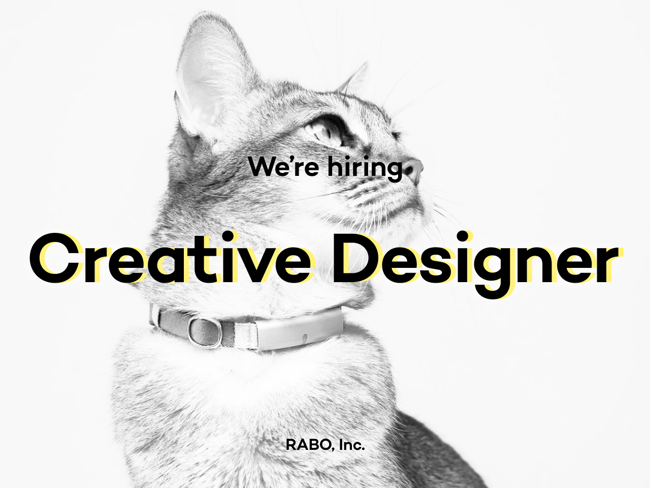 株式会社RABO 求人画像1