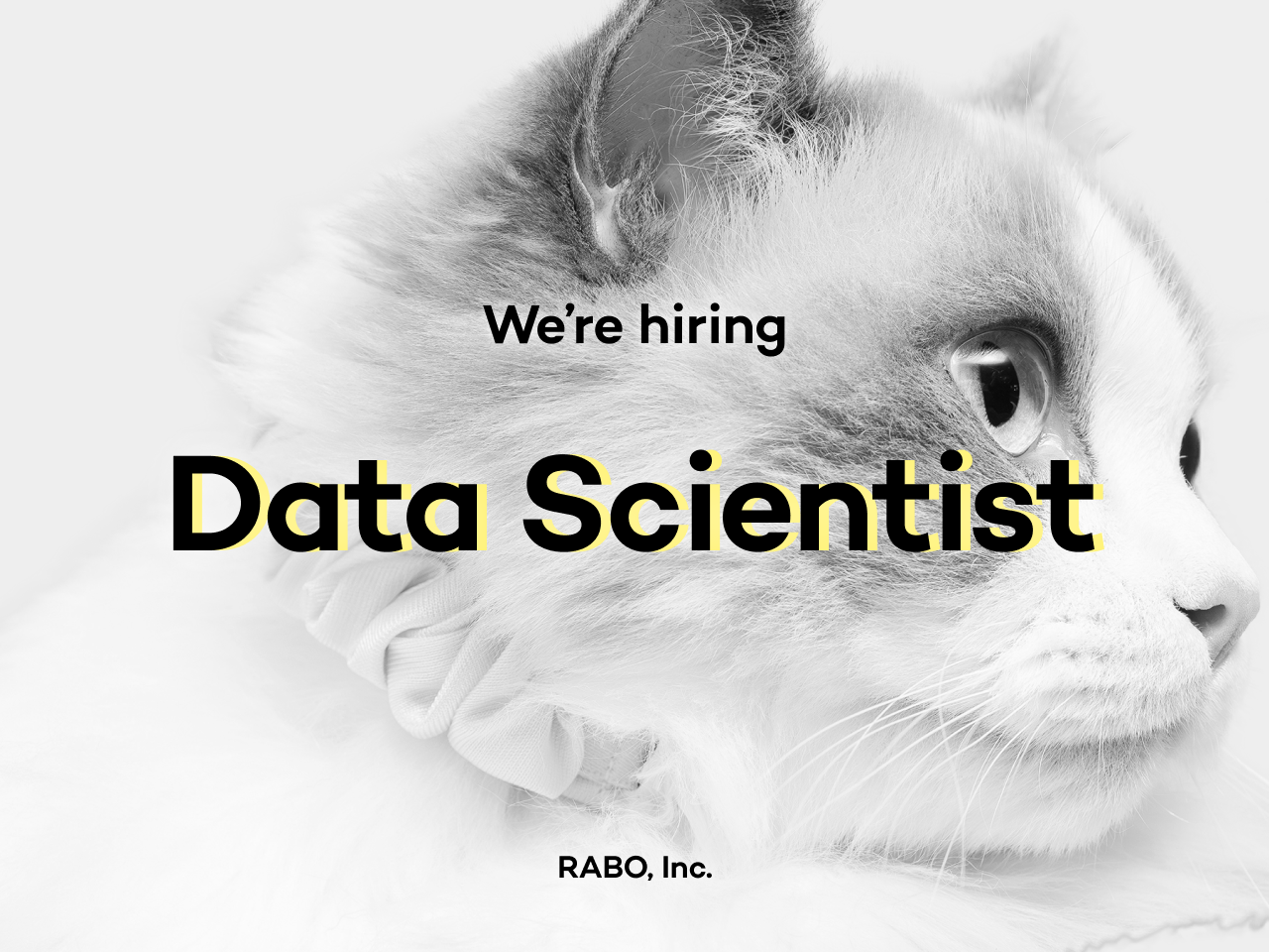 株式会社RABO 求人画像1