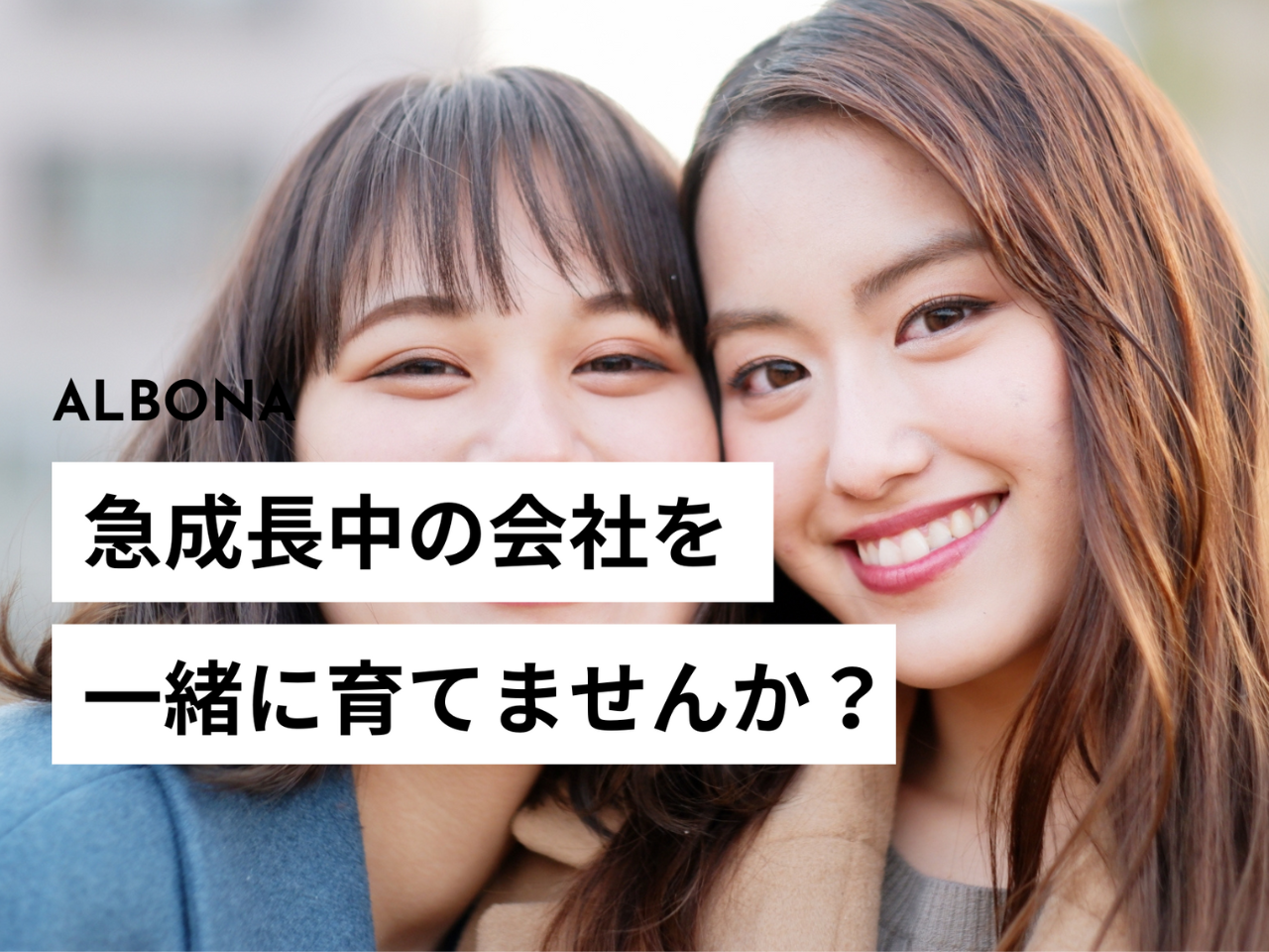 株式会社ALBONA 求人画像1