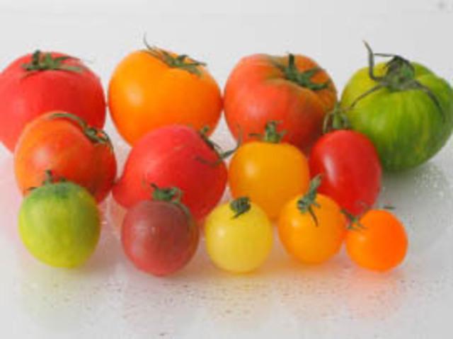 スーパーで販売されている野菜はミニトマトと表示されていますが 国立ファームは【農家名　品種名】と表示します。ミニトマトなら１種類で商品管理出来ますが、私たちが扱うミニトマトは、１５０種類以上。なぜなら、作り手（農家）が違えば、同じミニトマトではないから。