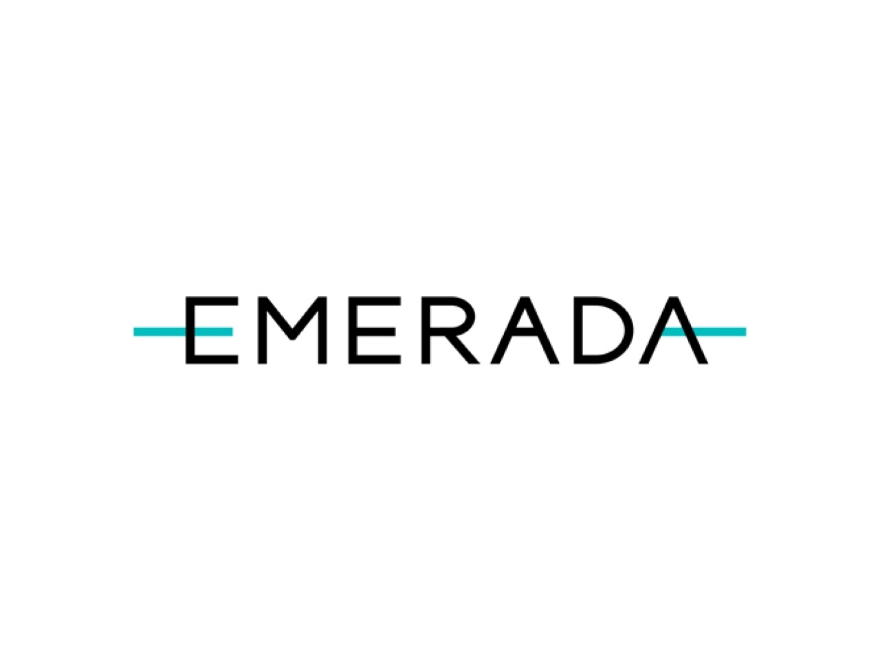 エメラダ株式会社 求人画像1