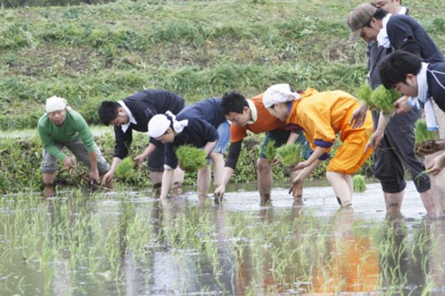 代表取締役社長・桐谷氏は東京と南房総の二拠点居住「半農半X」のライフスタイルで「時間と空間に縛られない生き方」を実現している。個人での創作活動を仕事と平行して積極的に行っているメンバーも多数。