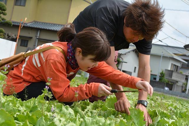 農家との対話、畑への訪問は必須です