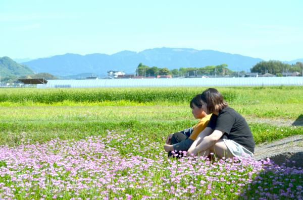 募集している求人：コンサルティングセールス