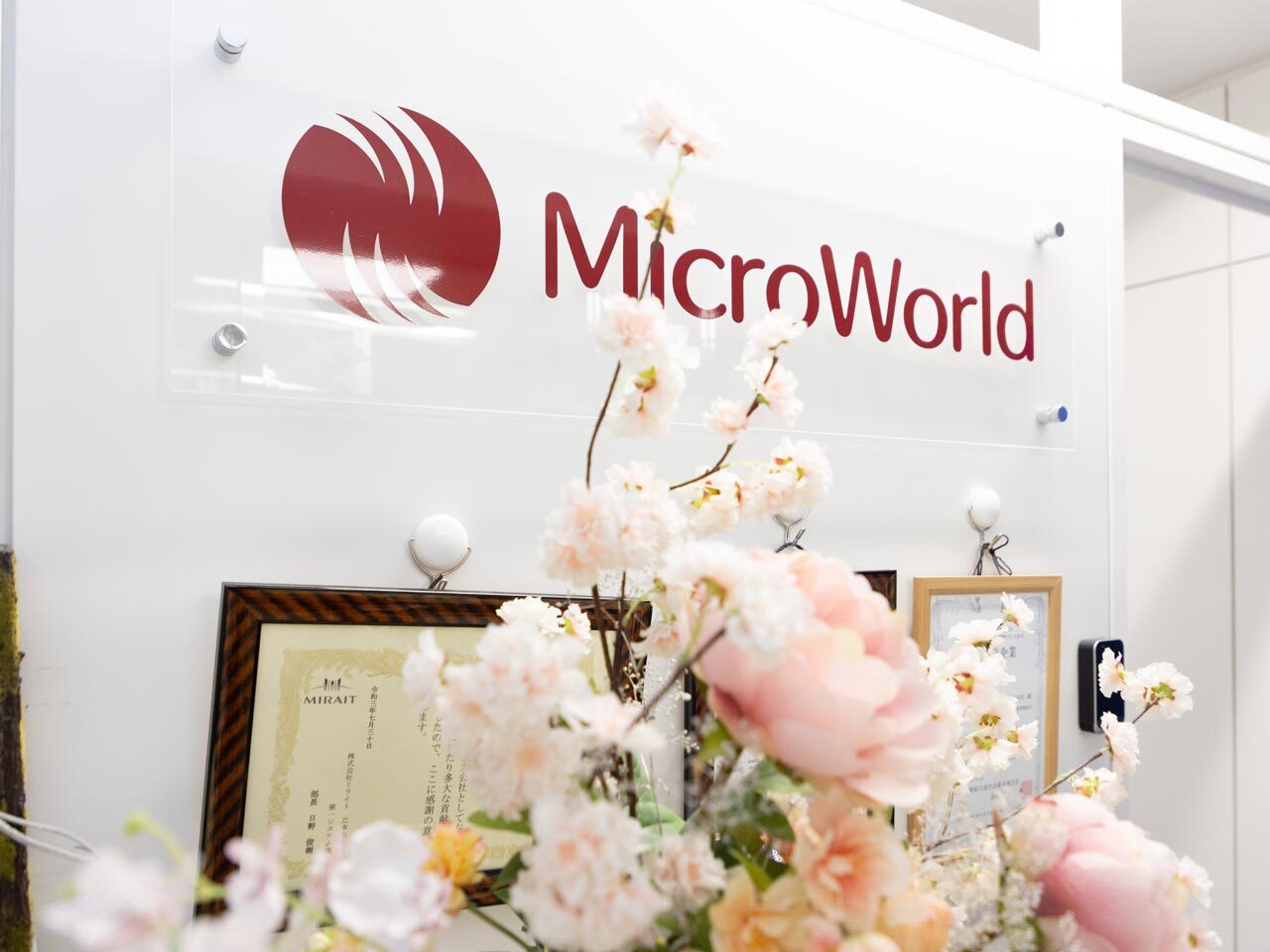 MicroWorld株式会社 求人画像1