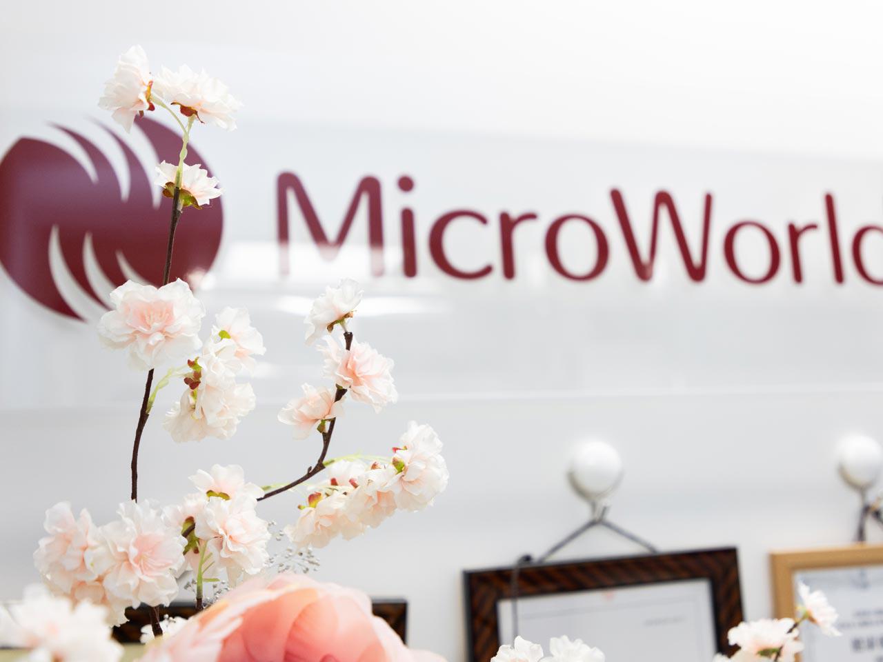 MicroWorld株式会社 求人画像1